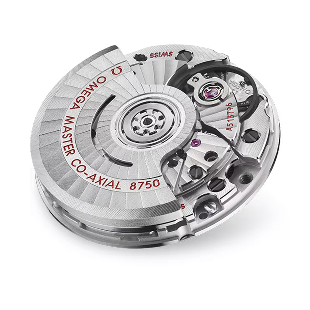 Seamaster Aqua Terra 150M 30mm - Purple on Bracelet