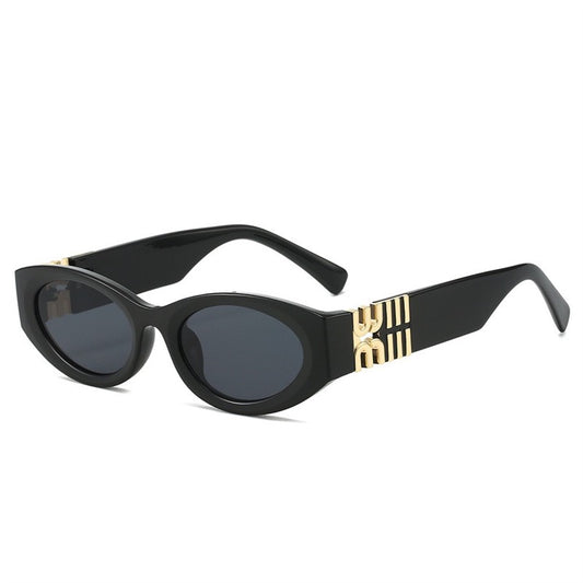 Luxury Classic Sunglasses 04