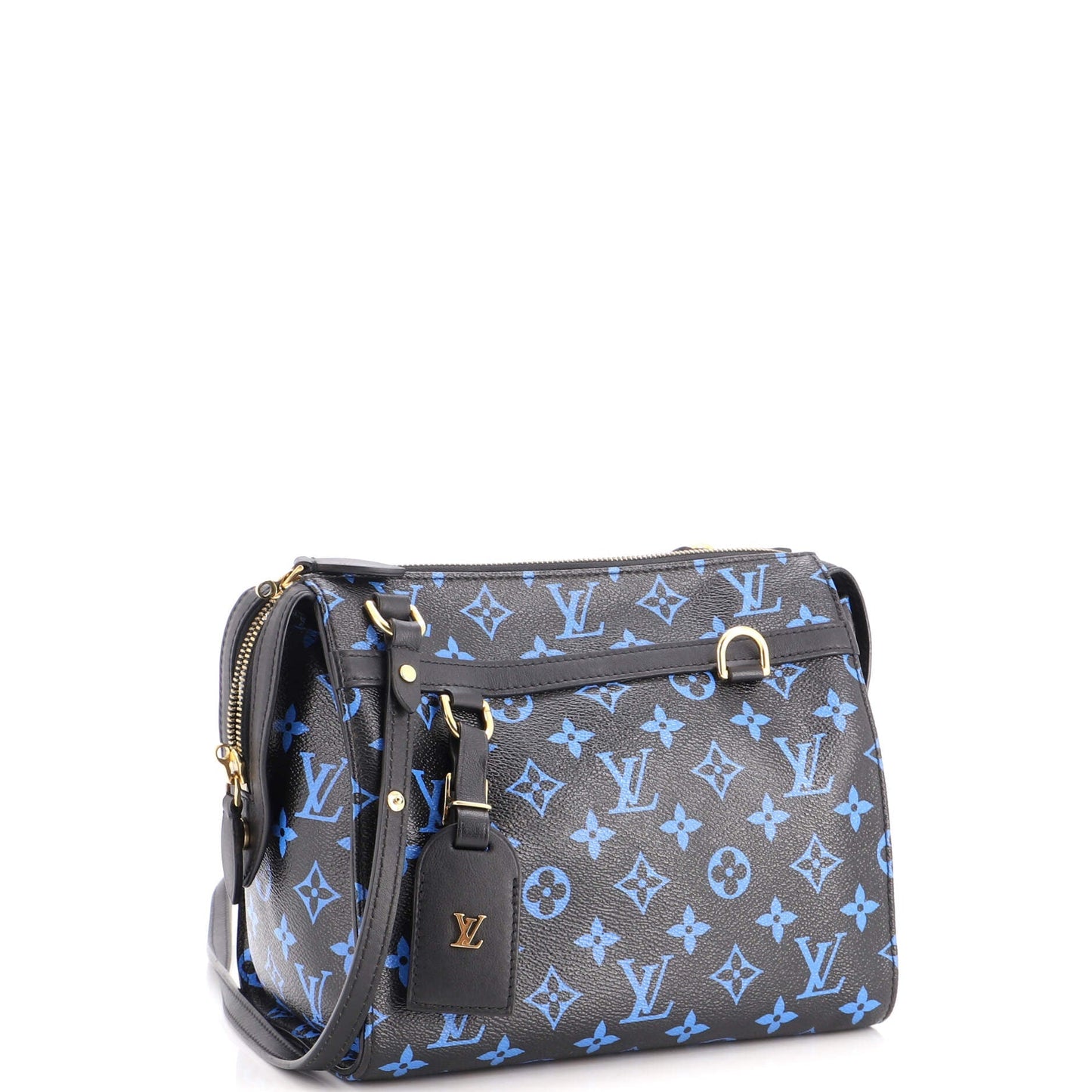 Speedy Amazon Bag Monogram Canvas PM