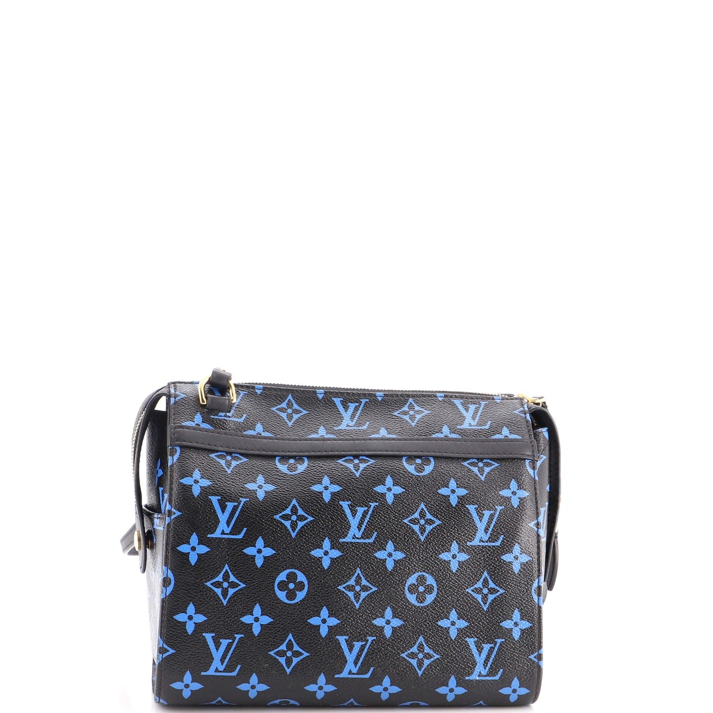 Speedy Amazon Bag Monogram Canvas PM