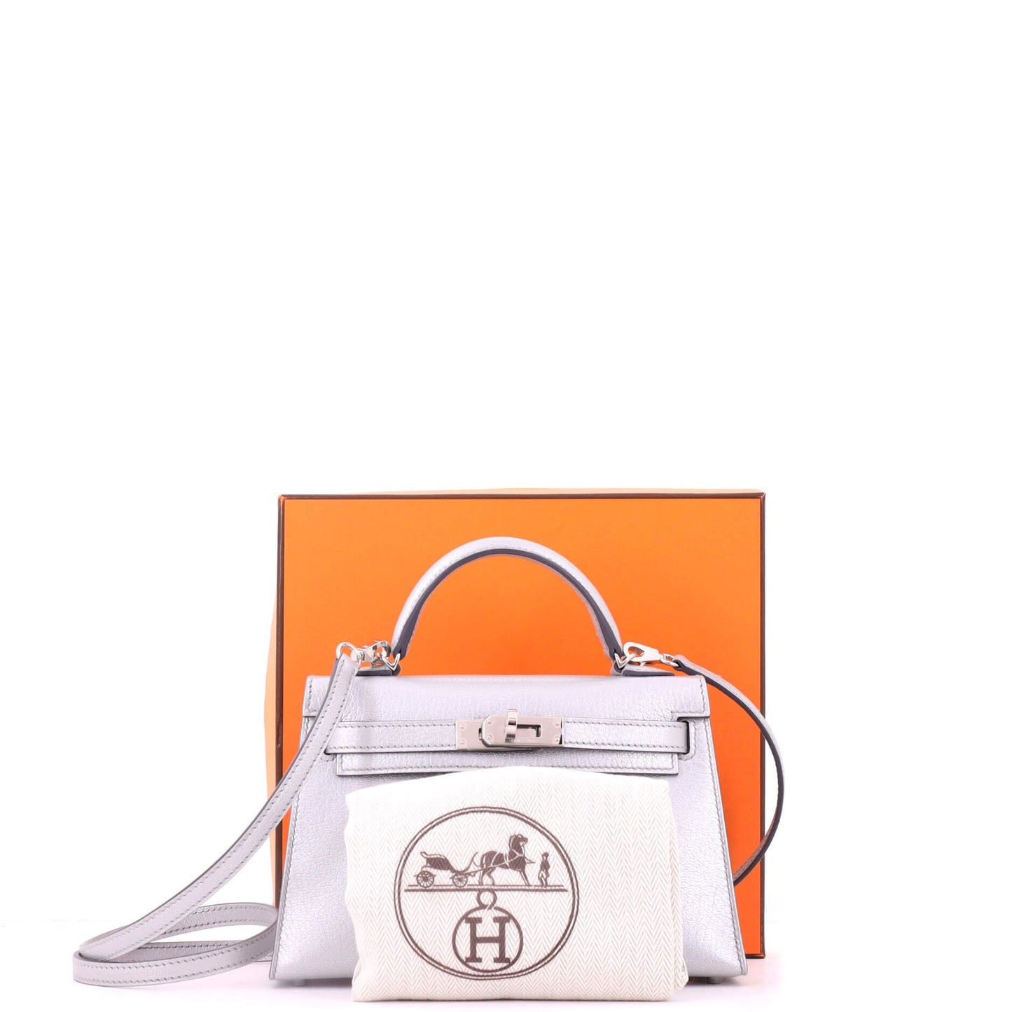 Kelly Mini II Bag Metallic Chevre Chamkilight with Palladium Hardware 20