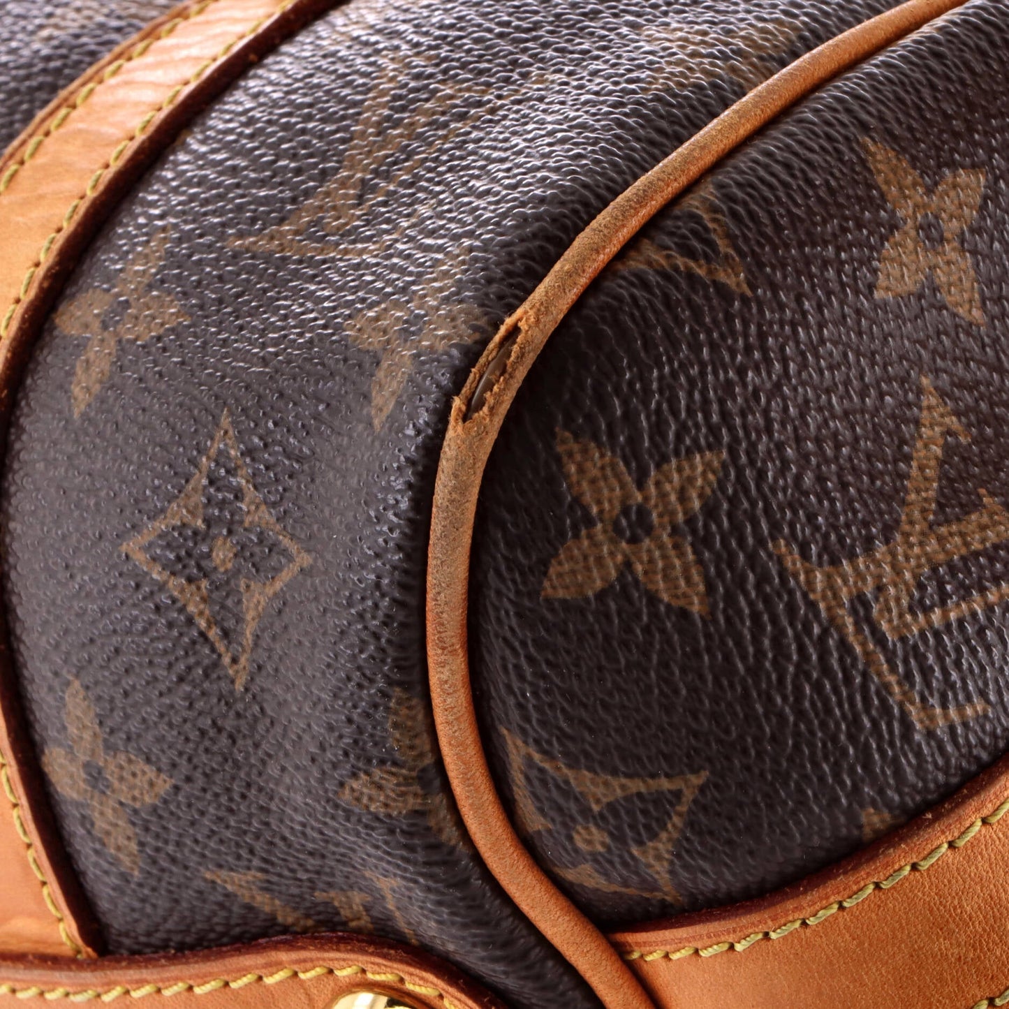 Stresa Handbag Monogram Canvas PM