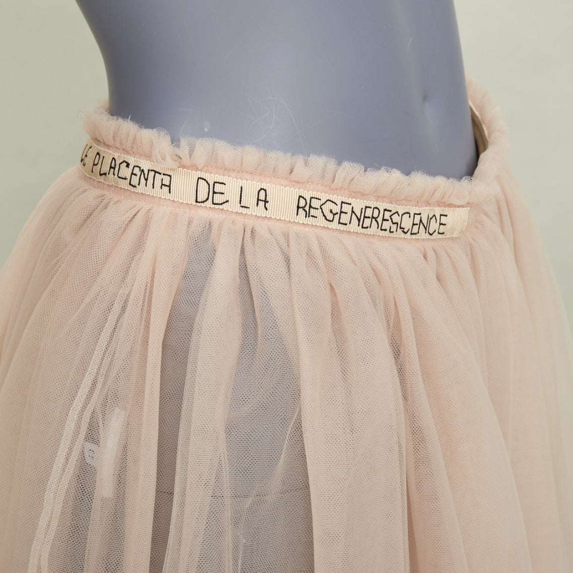 Women's Valentino mesh tulle embroidered midi skirt